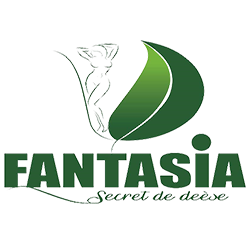logo fantasia web agence yaoundé