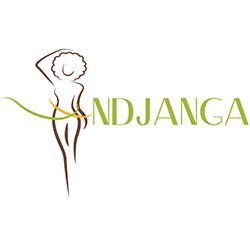 logo ndjanga agence web yaoundé